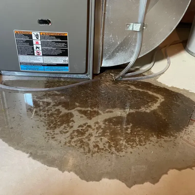 Appliance Leak Cleanup in Robinson, IL